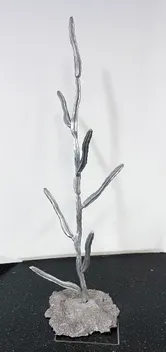 cacti1.jpg