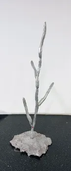 cacti2.jpg